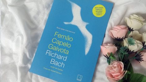 Resenha fernão capelo gaivota